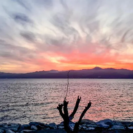 Cozy In 아파트 리카디